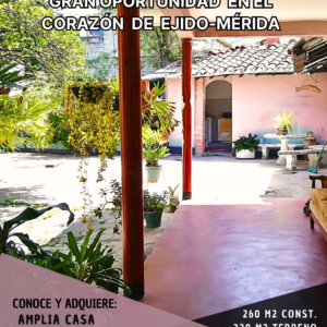 Amplia Casa Colonial en el Corazón de Ejido-Mérida – Patio Central y Potencial para Remodelar
